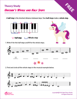 Unicorn’s Whole and Half Steps Theory Study